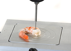 用于肉类、家禽类和鱼类检测的夹具和固定装置